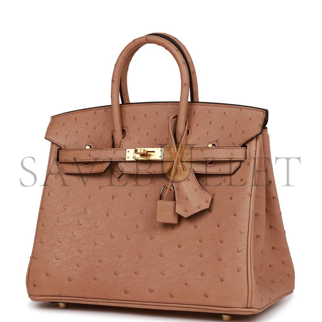 HERMES BIRKIN 25 CHAI OSTRICH GOLD HARDWARE (25cm) HERMES BIRKIN 25 CHAI OSTRICH GOLD HARDWARE (25cm)